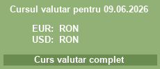 curs valutar